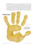 Page: - 88 | Golf Digest