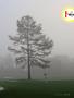Page: - 143 | Golf Digest