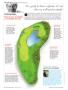 Page: - 24 | Golf Digest