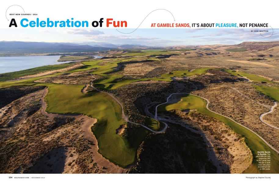 A Celebration of Fun