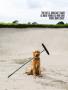Page: - 117 | Golf Digest
