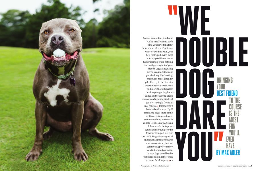 "WE DOUBLE DOG DARE YOU"