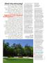 Page: - 80 | Golf Digest