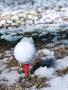 Page: - 153 | Golf Digest