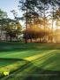 Page: - 154 | Golf Digest