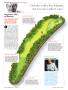 Page: - 38 | Golf Digest