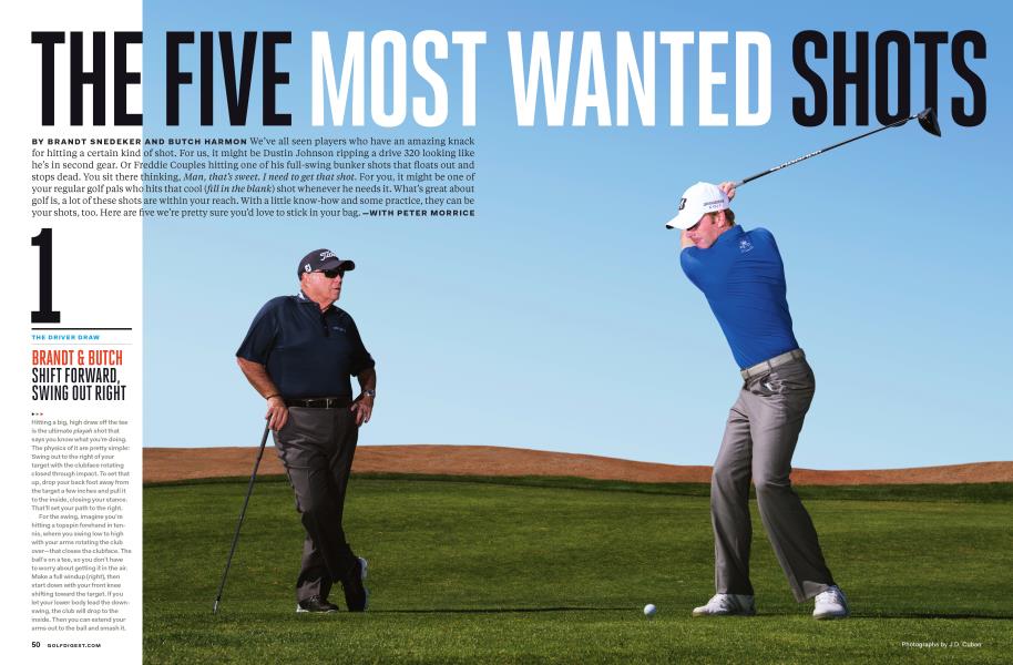 THE FIVE MOST WANTED SHOTS