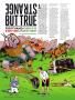 Page: - 86 | Golf Digest