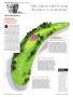 Page: - 20 | Golf Digest
