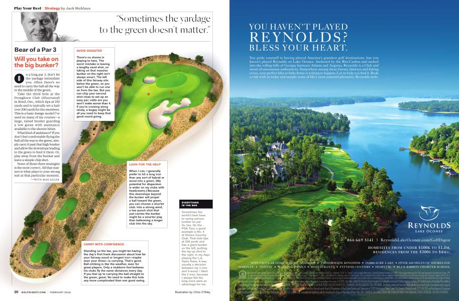 Bear of a Par 3