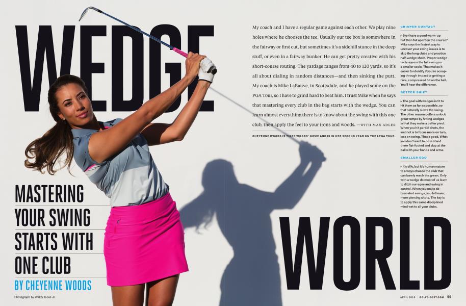 WEDGE WORLD