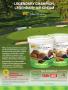 Page: - 123 | Golf Digest