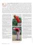 Page: - 98 | Golf Digest