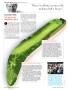 Page: - 28 | Golf Digest