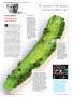 Page: - 14 | Golf Digest