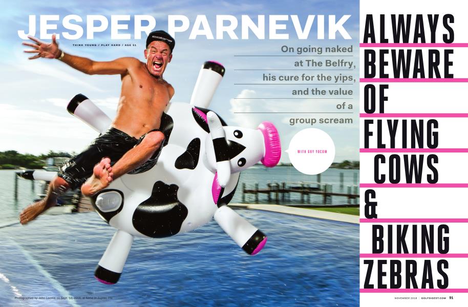 JESPER PARNEVIK ALWAYS BEWARE OF FLYING COWS & BIKING ZEBRAS