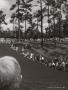 Page: - 105 | Golf Digest
