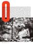 Page: - 88 | Golf Digest