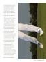 Page: - 73 | Golf Digest