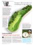 Page: - 18 | Golf Digest