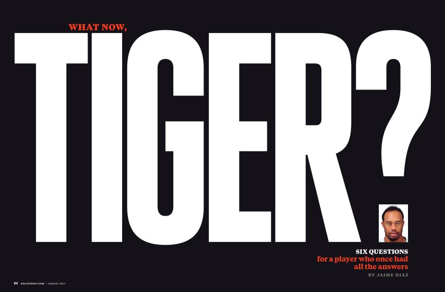 WHAT NOW, TIGER?