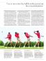 Page: - 17 | Golf Digest