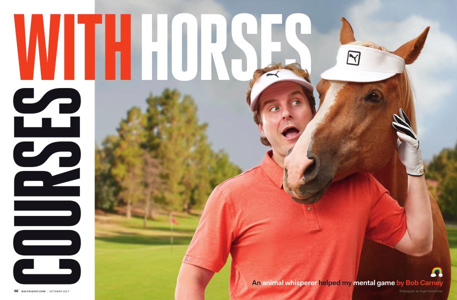 COURSES WITH HORSES