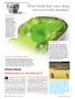 Page: - 20 | Golf Digest