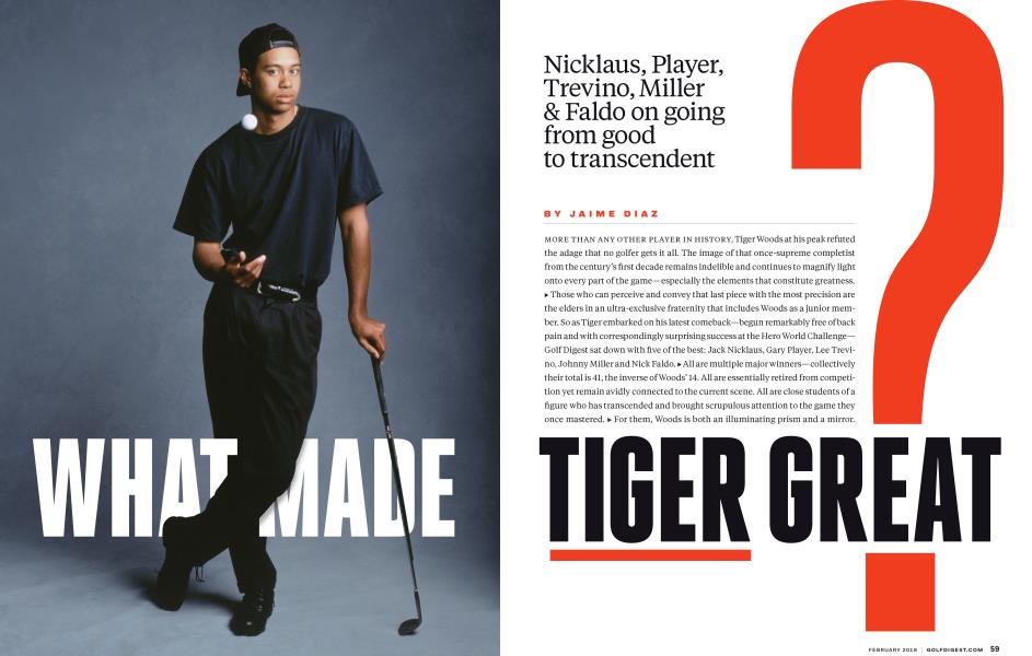 WHAT MADE TIGER GREAT