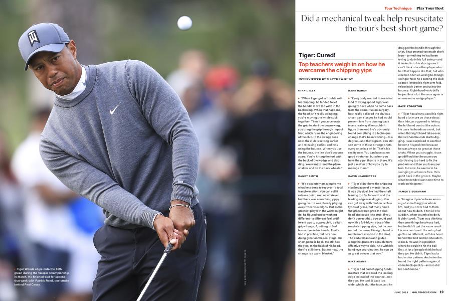 Tiger: Cured!