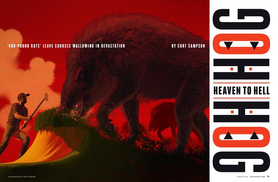 HOG HEAVEN TO HELL