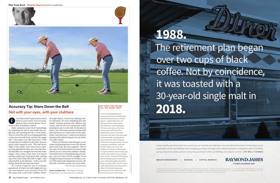 DAVID LEADBETTER