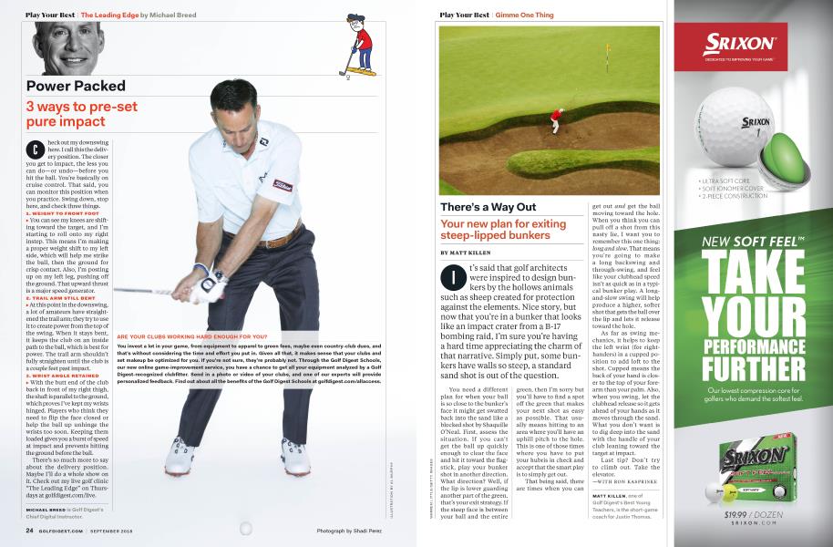 The Leading Edge by MICHAEL BREED