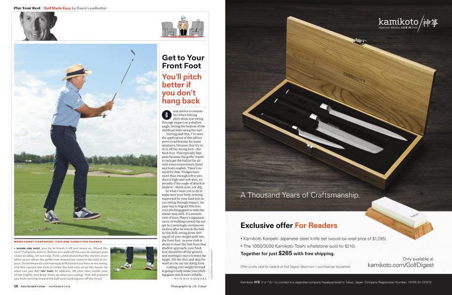 DAVID LEADBETTER