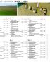 Page: - 65 | Golf Digest