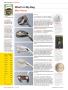 Page: - 30 | Golf Digest