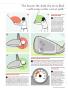 Page: - 23 | Golf Digest