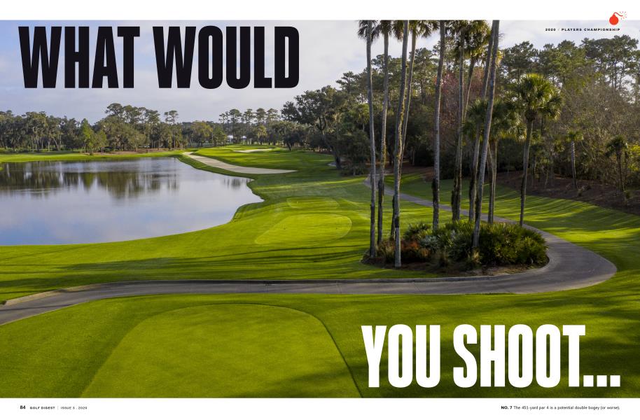 WHAT WOULD YOU SHOOT...