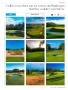 Page: - 13 | Golf Digest