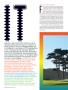 Page: - 80 | Golf Digest