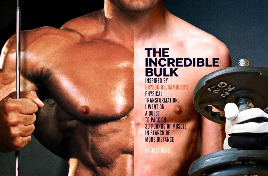 THE INCREDIBLE BULK