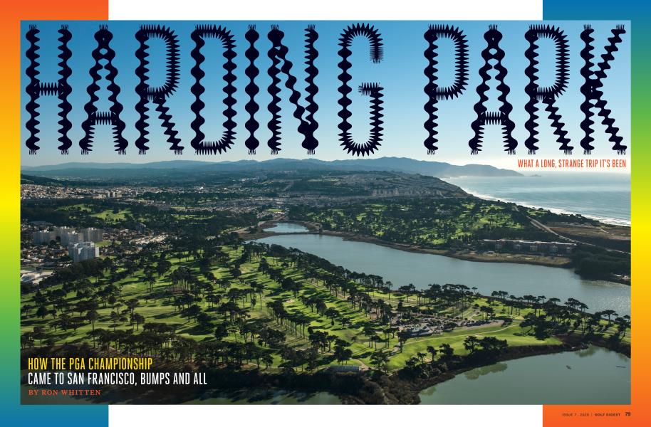 HARDING PARK WHAT A LONG, STRANGE TRIP IT’S BEEN