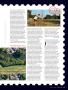 Page: - 99 | Golf Digest