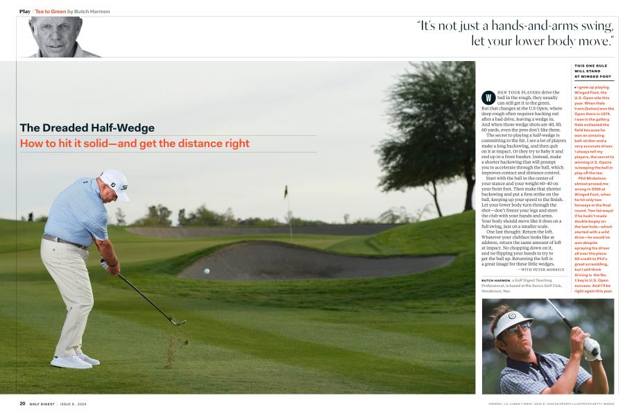 The Dreaded Half-Wedge