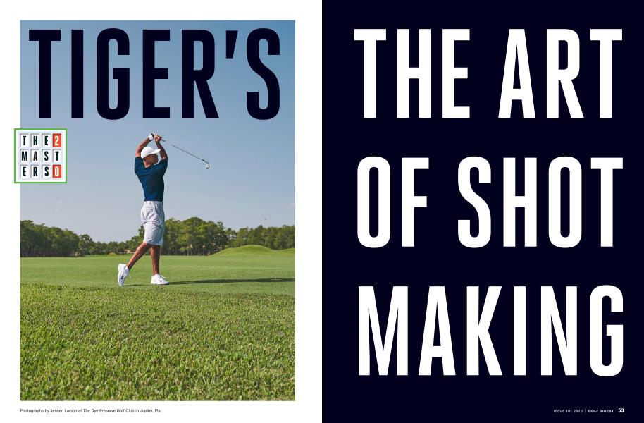 TIGER'S THE ART OF SHOT MAKING