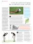Page: - 32 | Golf Digest