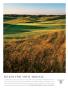 Page: - 35 | Golf Digest