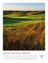 Page: - 3 | Golf Digest
