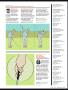 Page: - 39 | Golf Digest