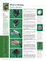 Page: - 42 | Golf Digest